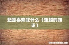 蚯蚓的知识 蚯蚓喜欢吃什么
