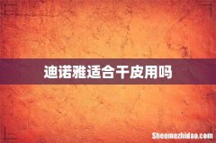 迪诺雅适合干皮用吗