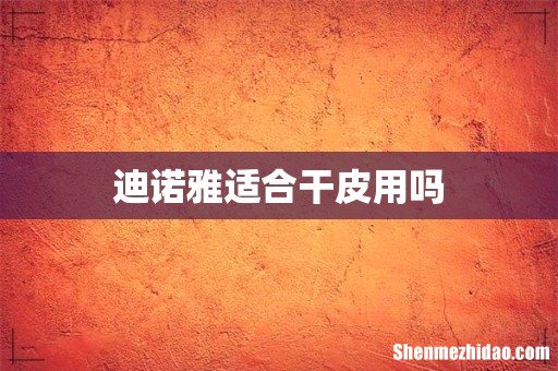 迪诺雅适合干皮用吗