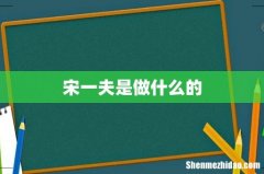 宋一夫是做什么的