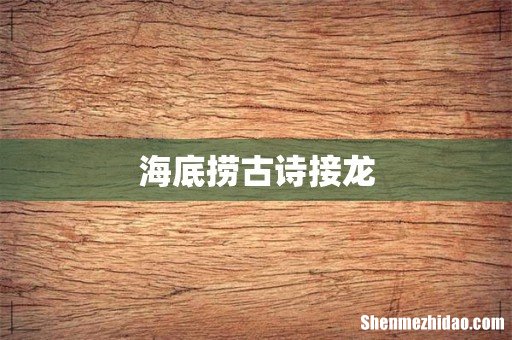 海底捞古诗接龙
