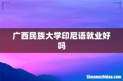 广西民族大学印尼语就业好吗