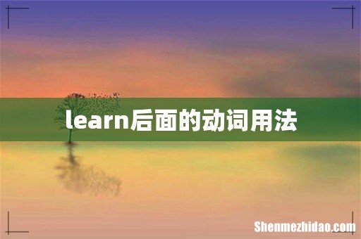 learn后面的动词用法