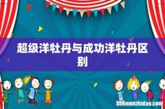 超级洋牡丹与成功洋牡丹区别