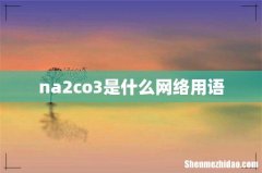 na2co3是什么网络用语