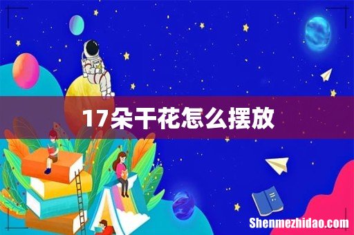 17朵干花怎么摆放