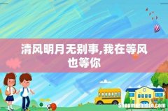 清风明月无别事,我在等风也等你