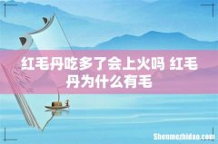 红毛丹吃多了会上火吗 红毛丹为什么有毛