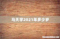 马天宇2021年多少岁