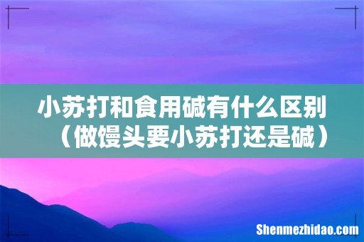 做馒头要小苏打还是碱 小苏打和食用碱有什么区别