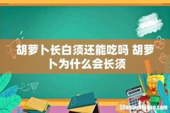 胡萝卜长白须还能吃吗 胡萝卜为什么会长须
