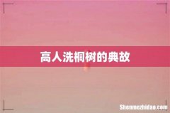 高人洗桐树的典故