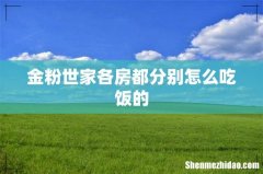 金粉世家各房都分别怎么吃饭的