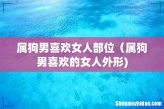 属狗男喜欢女人部位（属狗男喜欢的女人外形)