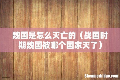 战国时期魏国被哪个国家灭了 魏国是怎么灭亡的