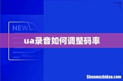 ua录音如何调整码率