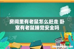 房间里有老鼠怎么赶走 卧室有老鼠睡觉安全吗