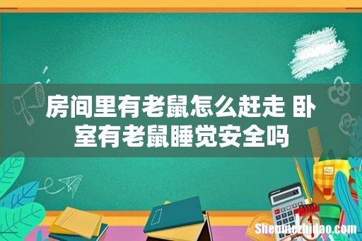 房间里有老鼠怎么赶走 卧室有老鼠睡觉安全吗
