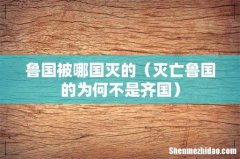 灭亡鲁国的为何不是齐国 鲁国被哪国灭的