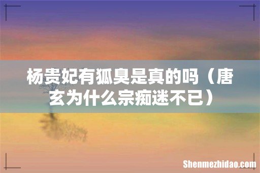 唐玄为什么宗痴迷不已 杨贵妃有狐臭是真的吗
