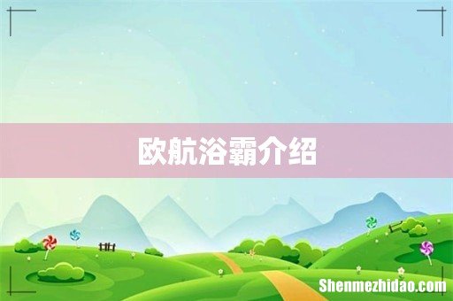 欧航浴霸介绍