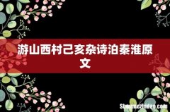 游山西村己亥杂诗泊秦淮原文