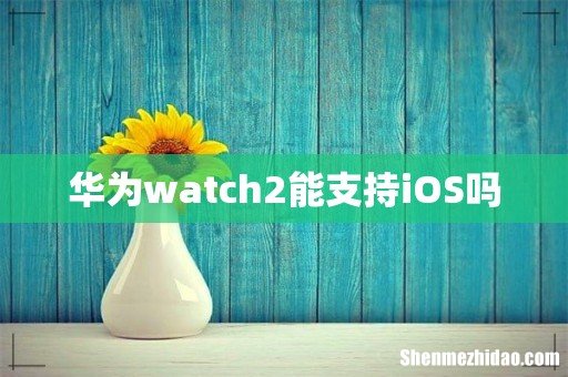 华为watch2能支持iOS吗