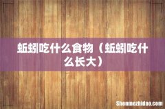 蚯蚓吃什么长大 蚯蚓吃什么食物