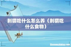 刺猬吃什么食物 刺猬吃什么怎么养