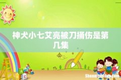 神犬小七艾亮被刀捅伤是第几集