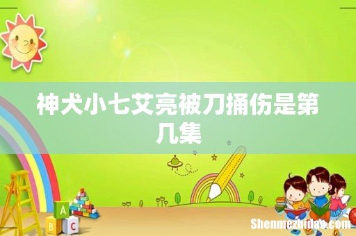 神犬小七艾亮被刀捅伤是第几集