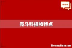 壳斗科植物特点