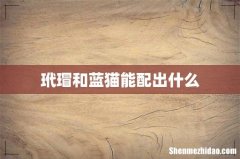 玳瑁和蓝猫能配出什么
