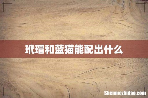 玳瑁和蓝猫能配出什么