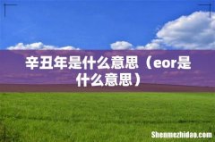 eor是什么意思 辛丑年是什么意思