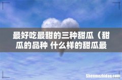 甜瓜的品种 什么样的甜瓜最好吃 最好吃最甜的三种甜瓜