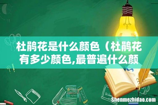 杜鹃花有多少颜色,最普遍什么颜色 杜鹃花是什么颜色
