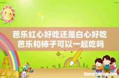 芭乐红心好吃还是白心好吃 芭乐和柿子可以一起吃吗