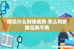 甜瓜什么时候成熟 怎么判断甜瓜熟不熟