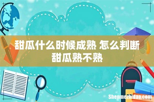 甜瓜什么时候成熟 怎么判断甜瓜熟不熟