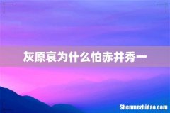 灰原哀为什么怕赤井秀一