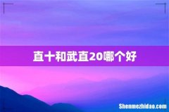 直十和武直20哪个好