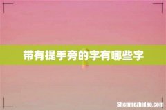 带有提手旁的字有哪些字