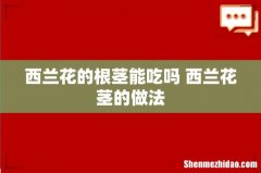 西兰花的根茎能吃吗 西兰花茎的做法