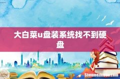 大白菜u盘装系统找不到硬盘