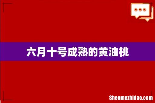 六月十号成熟的黄油桃