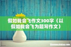 以假如我会飞为题写作文 假如我会飞作文300字