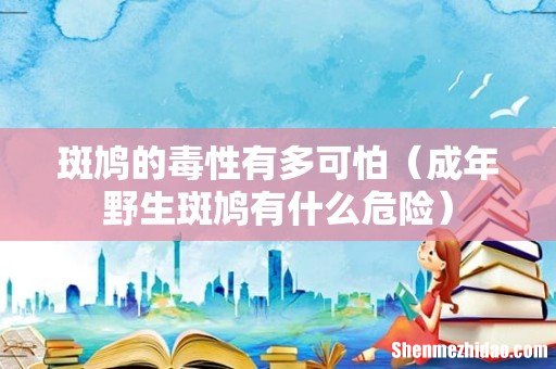成年野生斑鸠有什么危险 斑鸠的毒性有多可怕