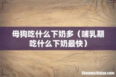 哺乳期吃什么下奶最快 母狗吃什么下奶多