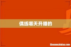偶练哪天开播的